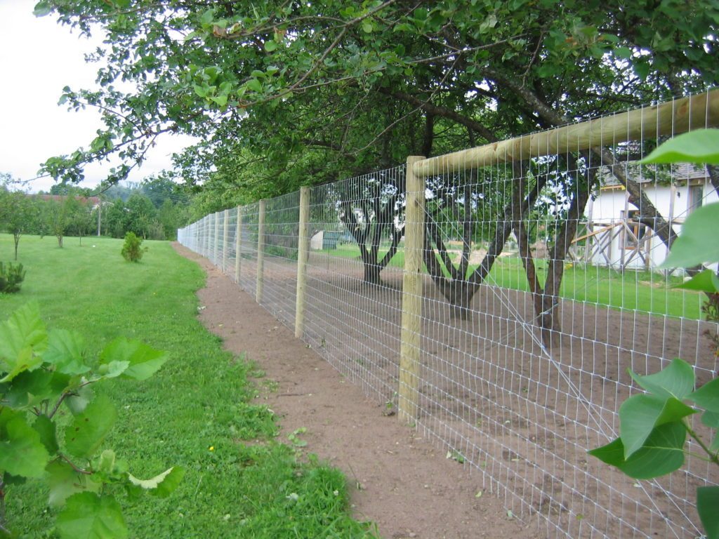 Ābeļdārzu žogs