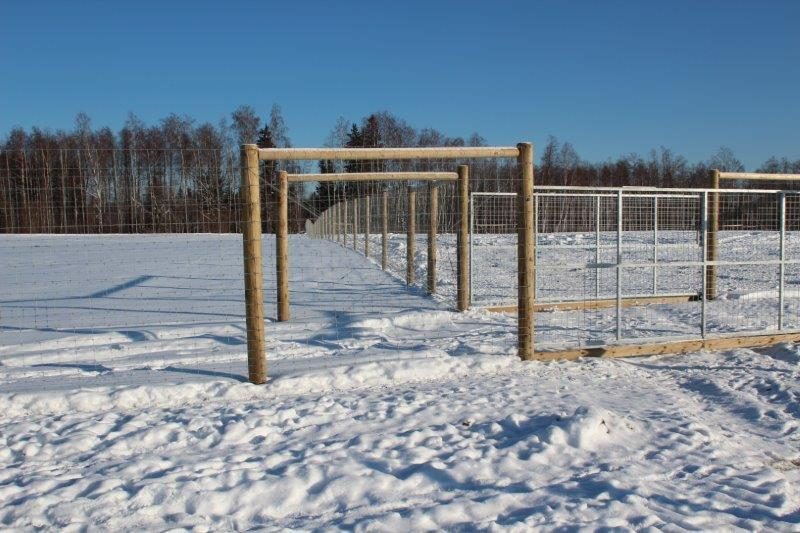 Briežu dārza žogs