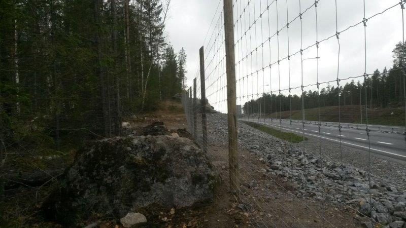 Automaģistrāles drošības žogs Somijā