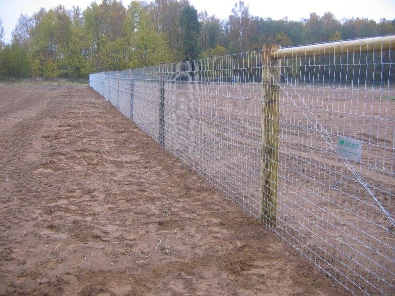 Ābeļdārzu žogs