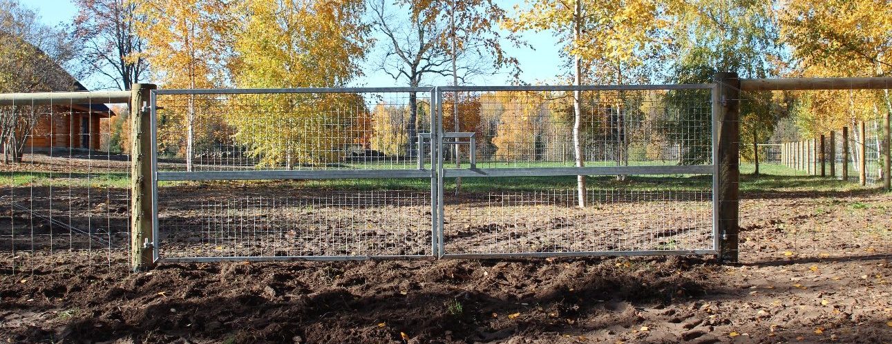Cinkots vārtu segments rudens birzā